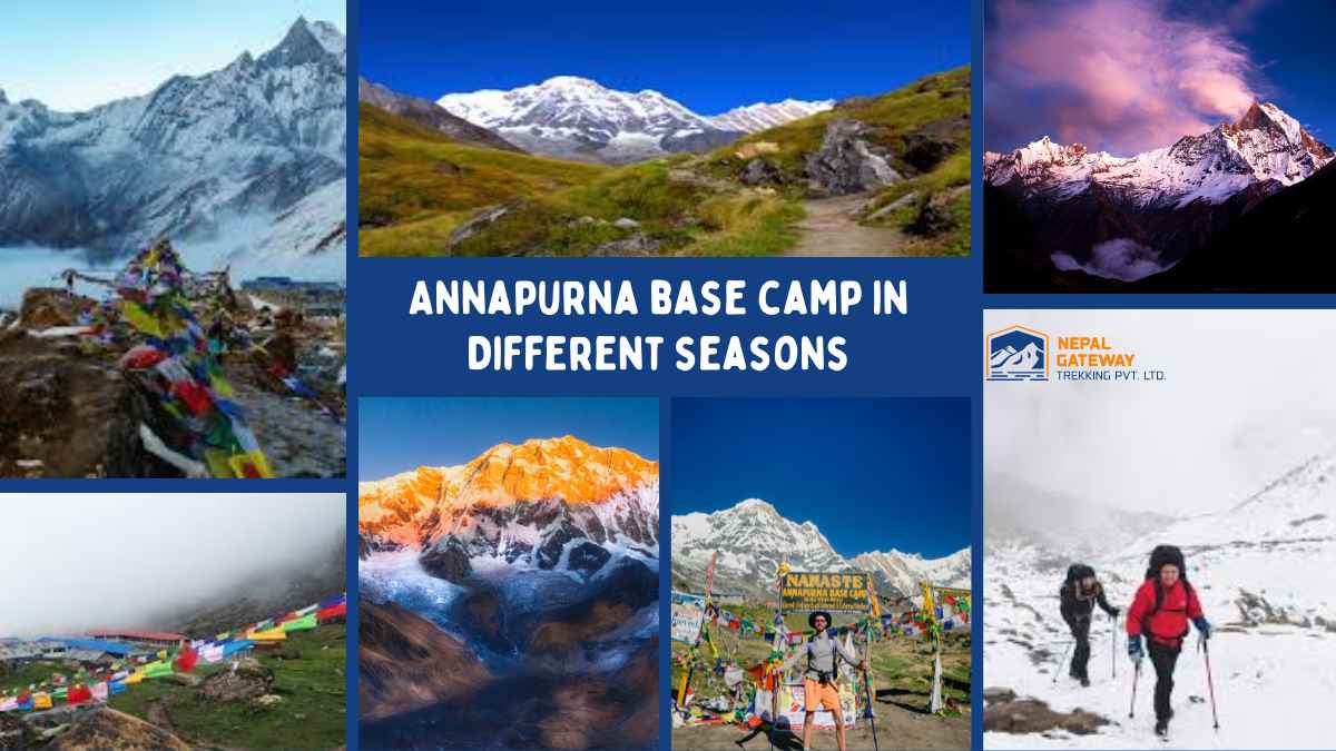 Annapurna Base Camp Trek in Seasons