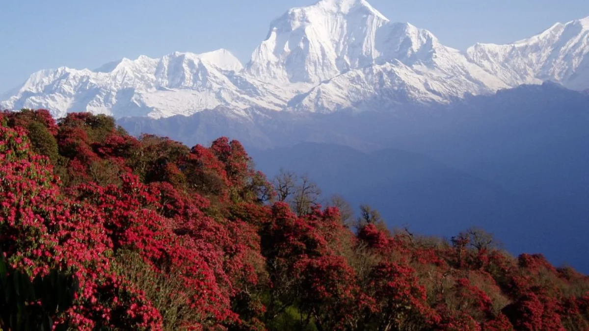 best-time-to-see-mountains