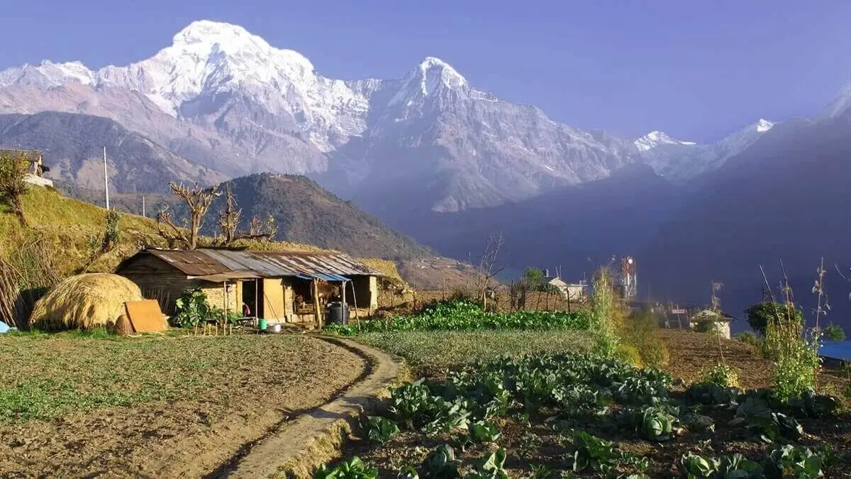 annapurna-panorama-view-trek