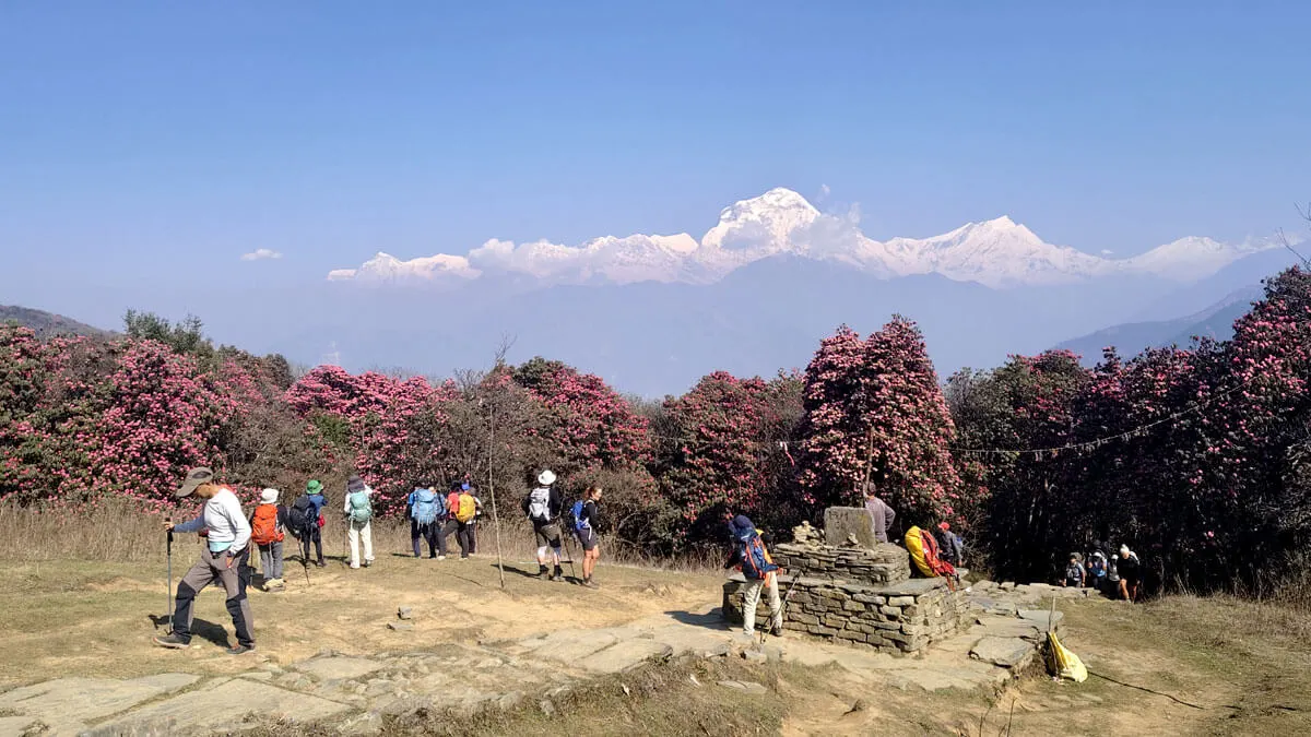 best-spring-destination-to-visit-in-nepal