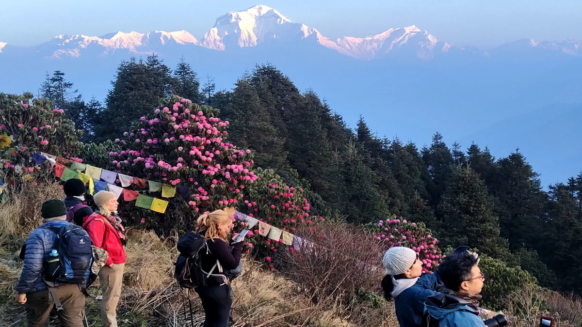 ghorepani poonhill trek