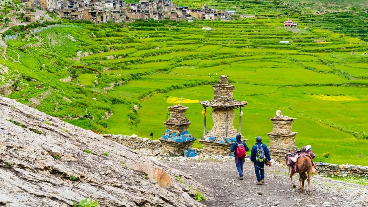 greenary-narphu-valley-trek