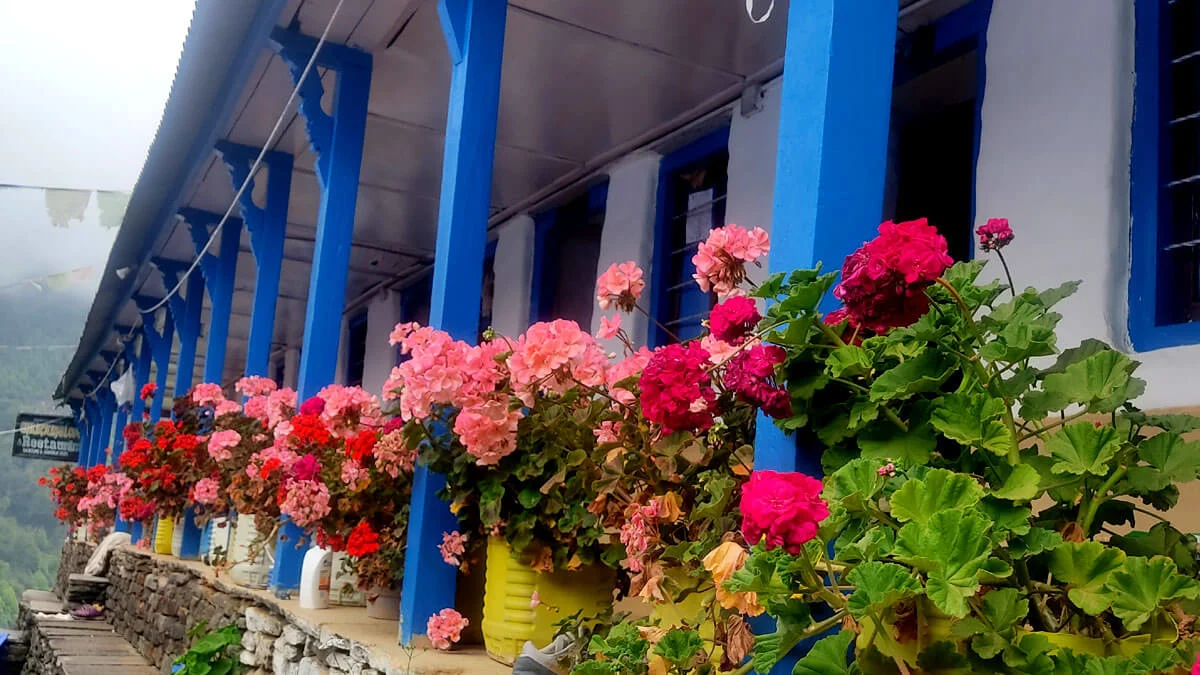 blooming flowers in lower sinuwa hotel