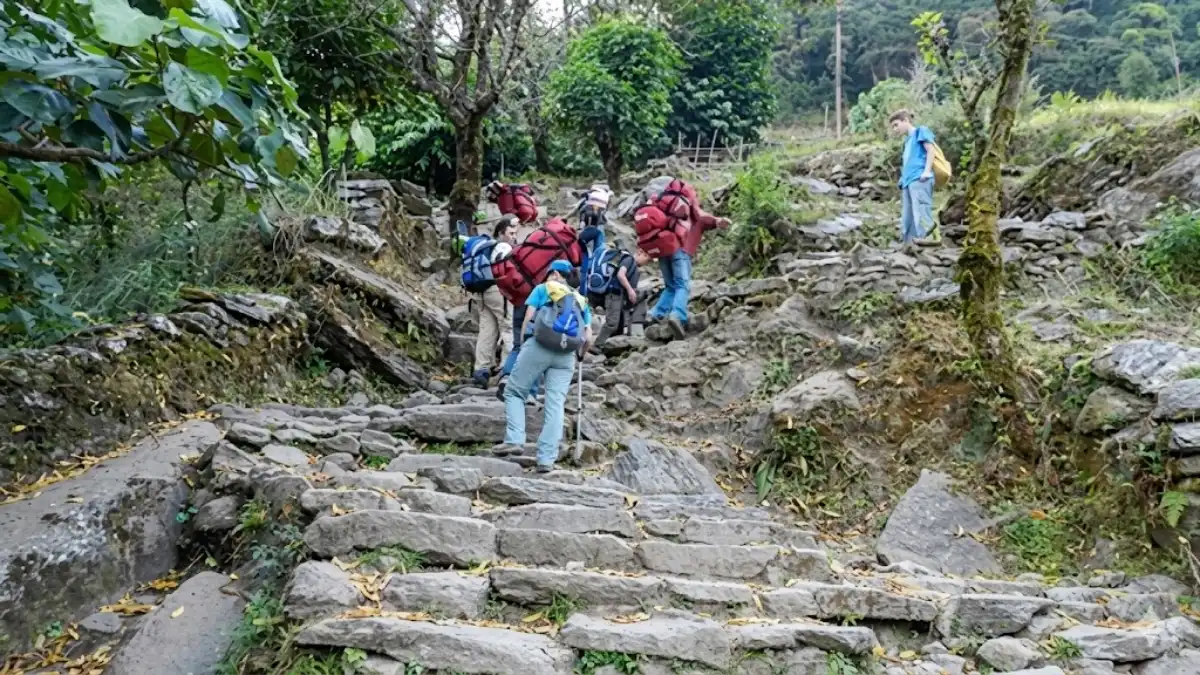 ghorepani-vs-mardi-himal-trek