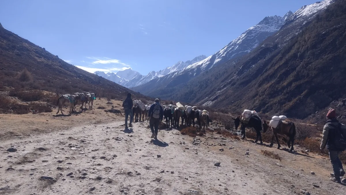 langtang-mountain-view-from-valley