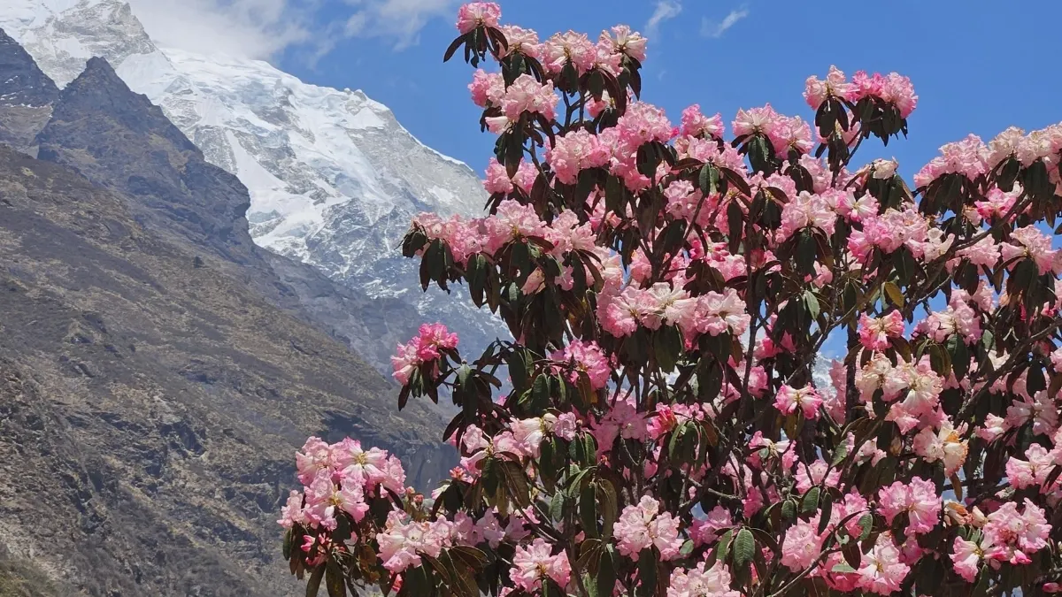 best-time-for-langtang