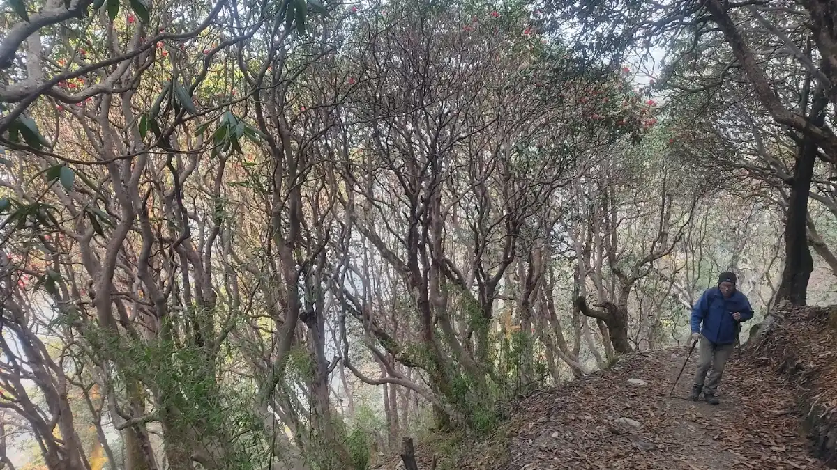 trekking-to-langtang