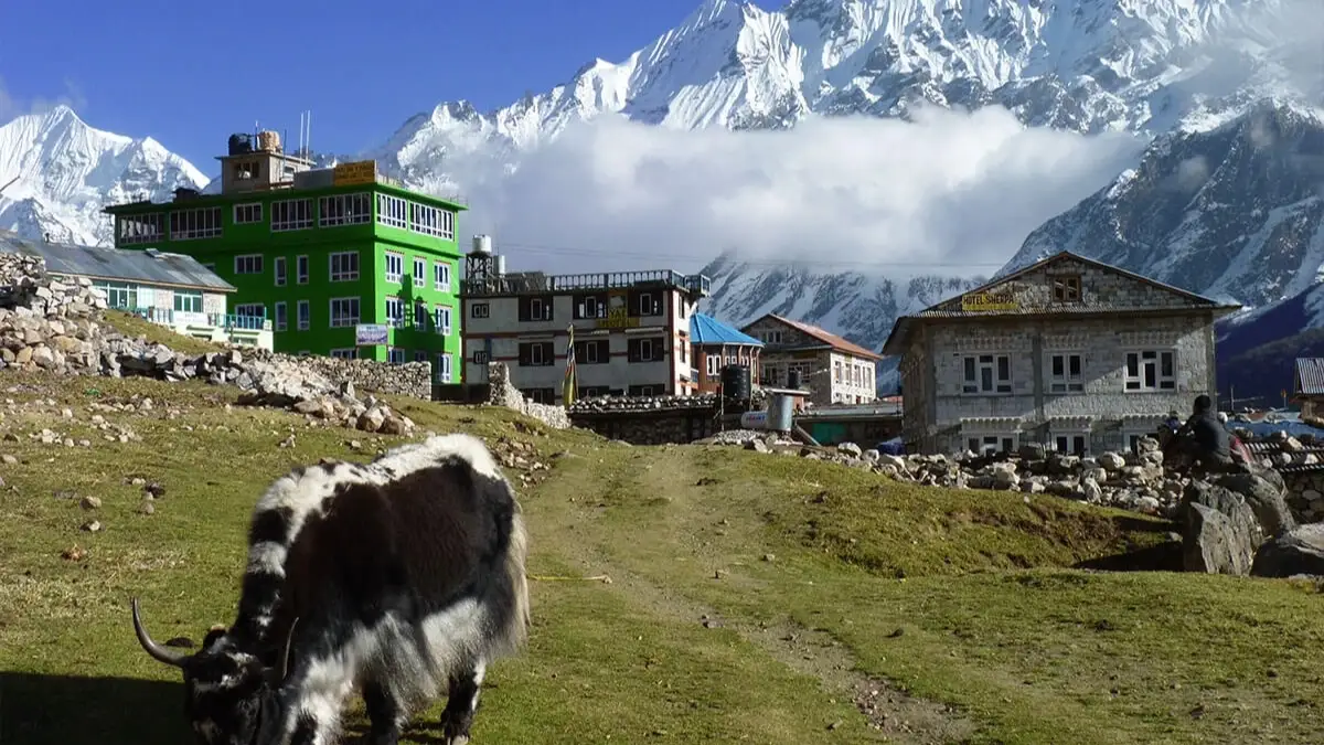 langtang-valley-trek