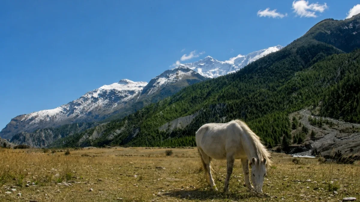 beauty-annapurna-range-manang