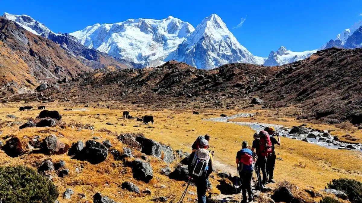 kanchenjunga-base-camp-trek