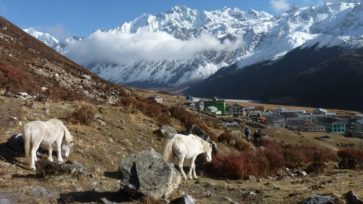langtang-valley-trek
