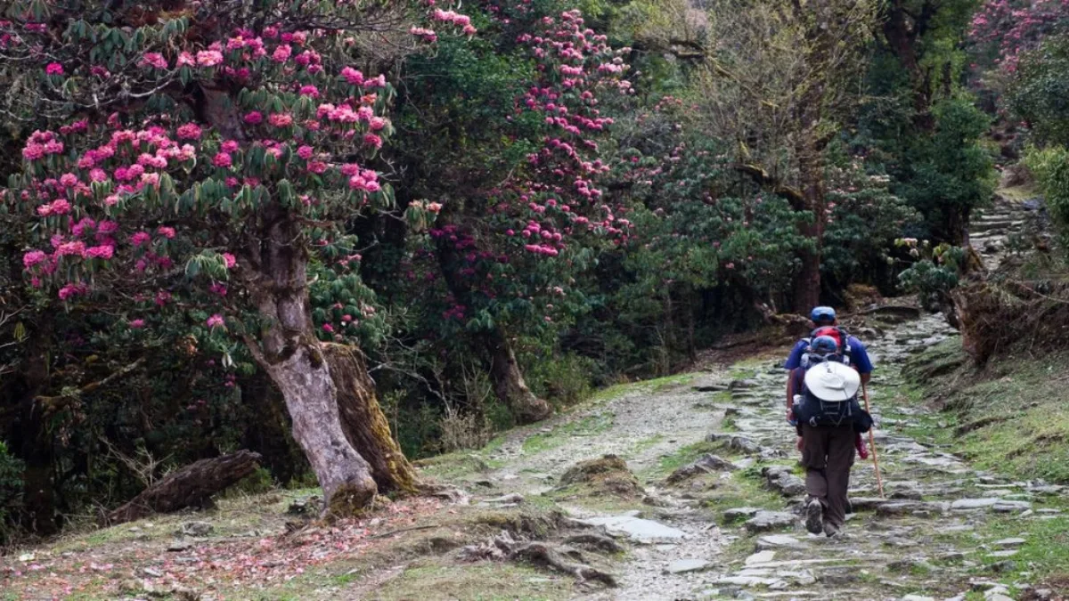 mount-everest-walk