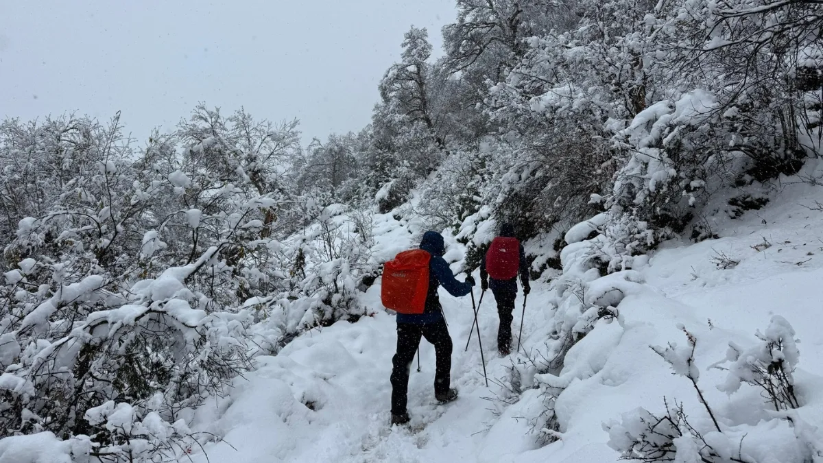 trekkers-stucked-due-to-bad-weather