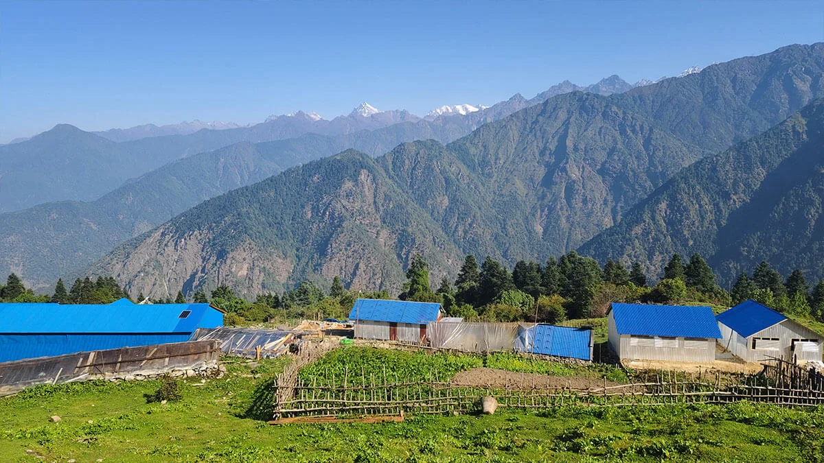 view from deurali including Ama yangri peak in helambu [Click and drag to move] ​
