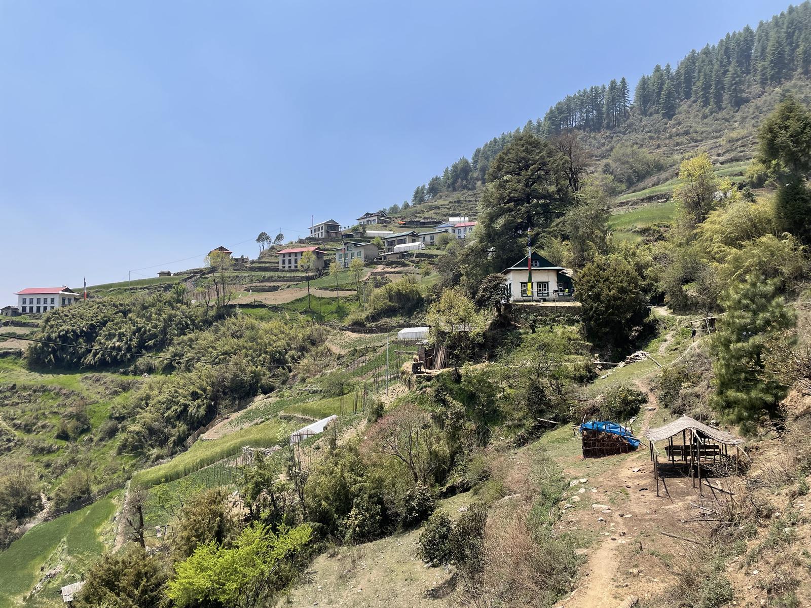 view from Pikey Peak Trek