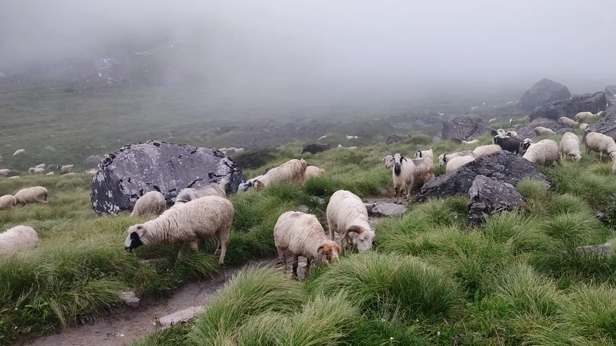 monsoon season trek in nepal