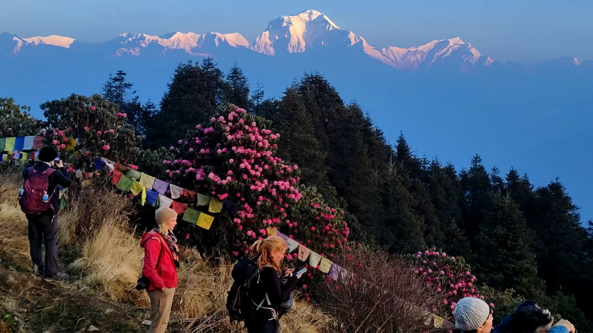 annapurna trek in spring