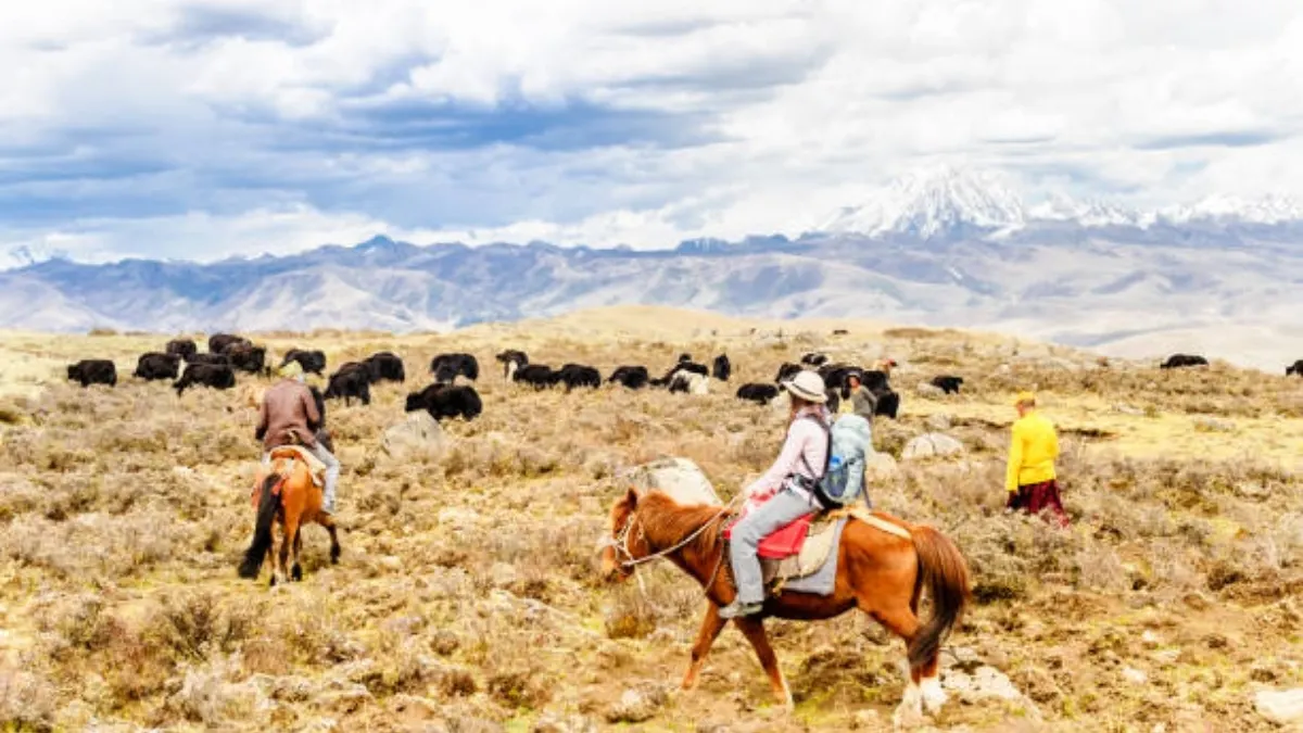 horse-riding-in-upper-dolpo-trek