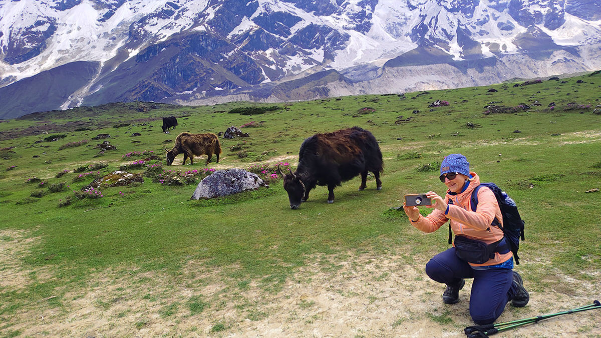 Monsoon trekking in Nepal