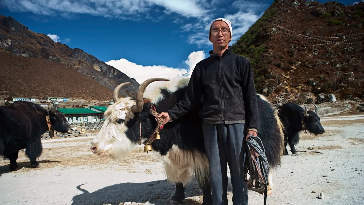 shera-people-with-yaks