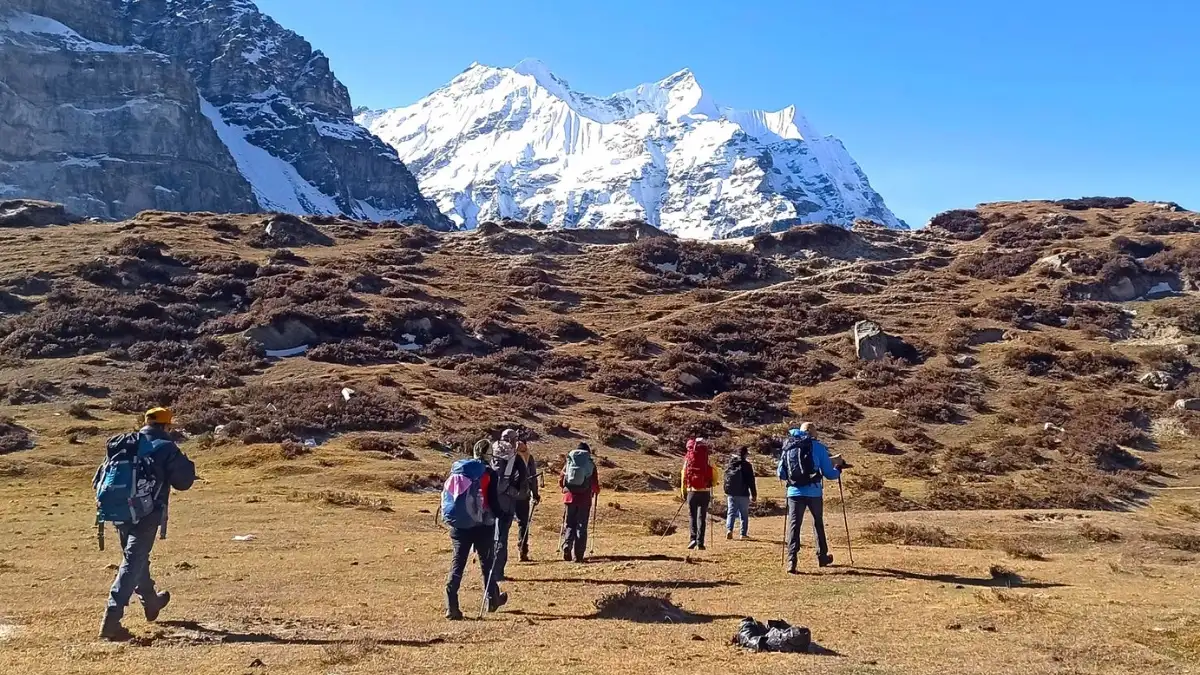 mountain-view-through-grass-land