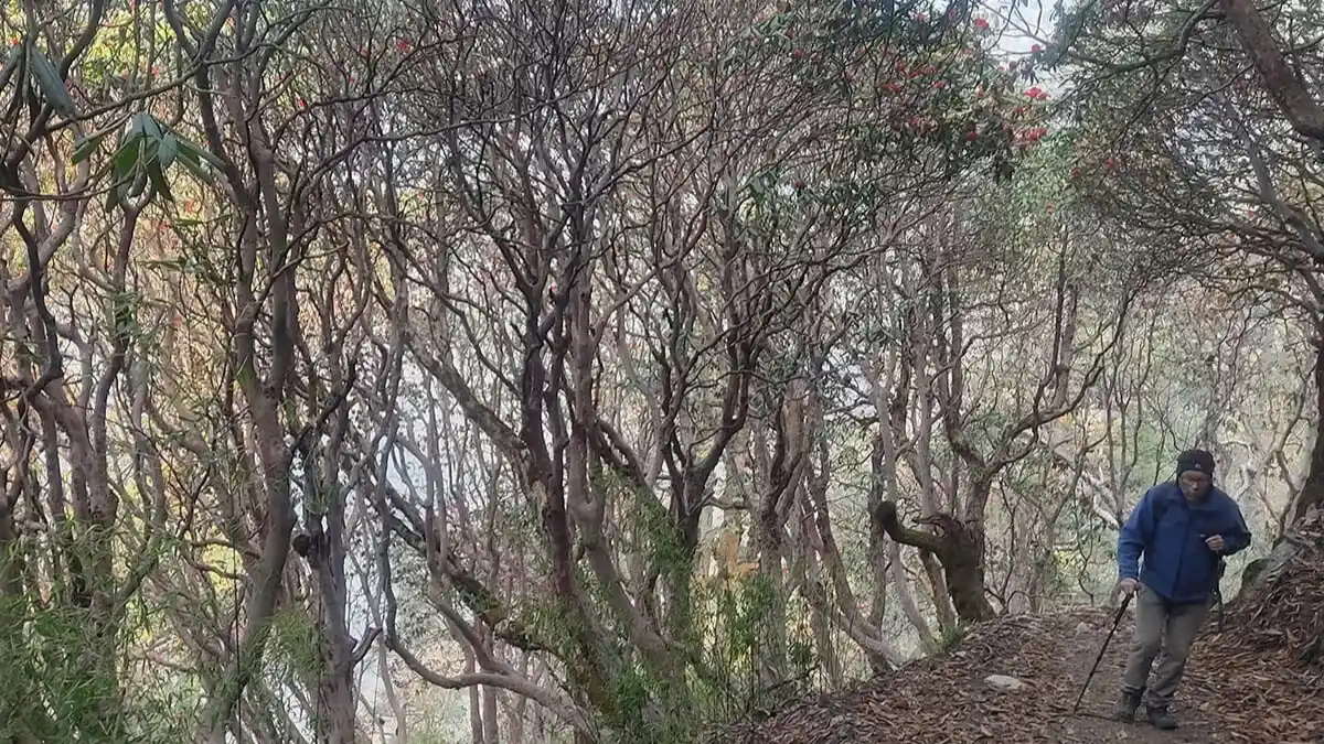 trekking-to-gosaikunda-lake-trek